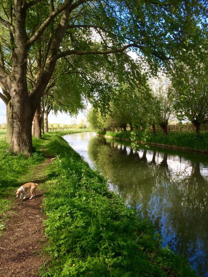 Boerengastenverblijf De Kromme Rijn Cothen Dış mekan fotoğraf